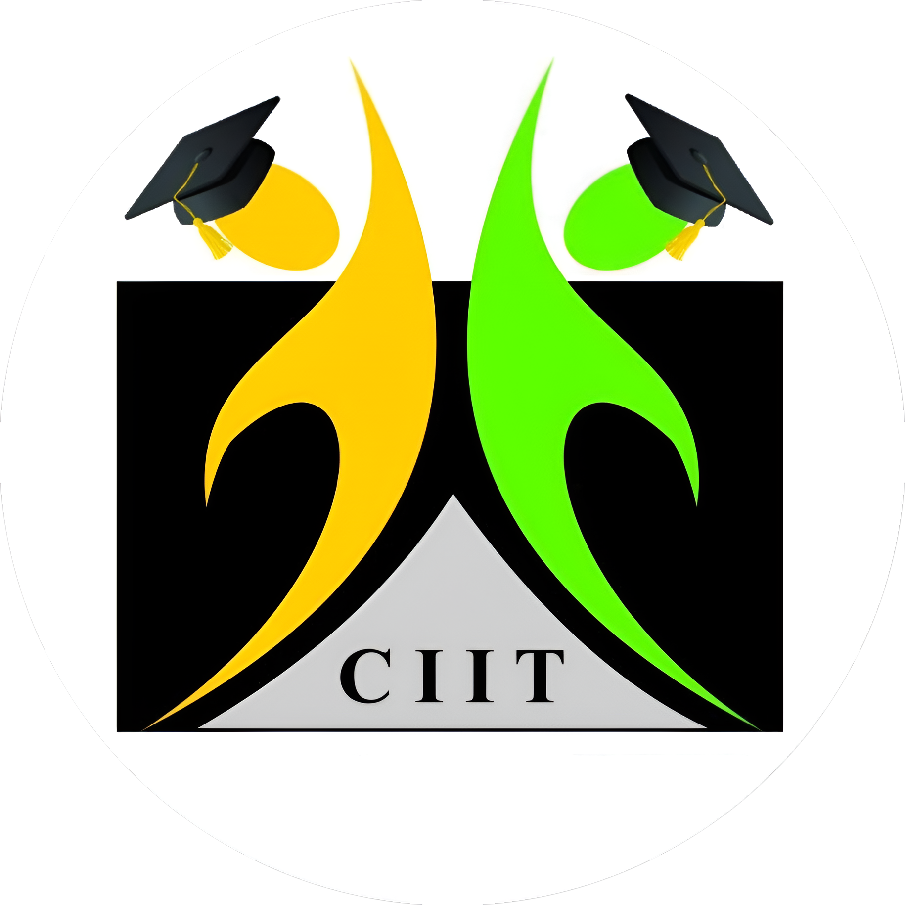 City Institute of Information & Technology Logo